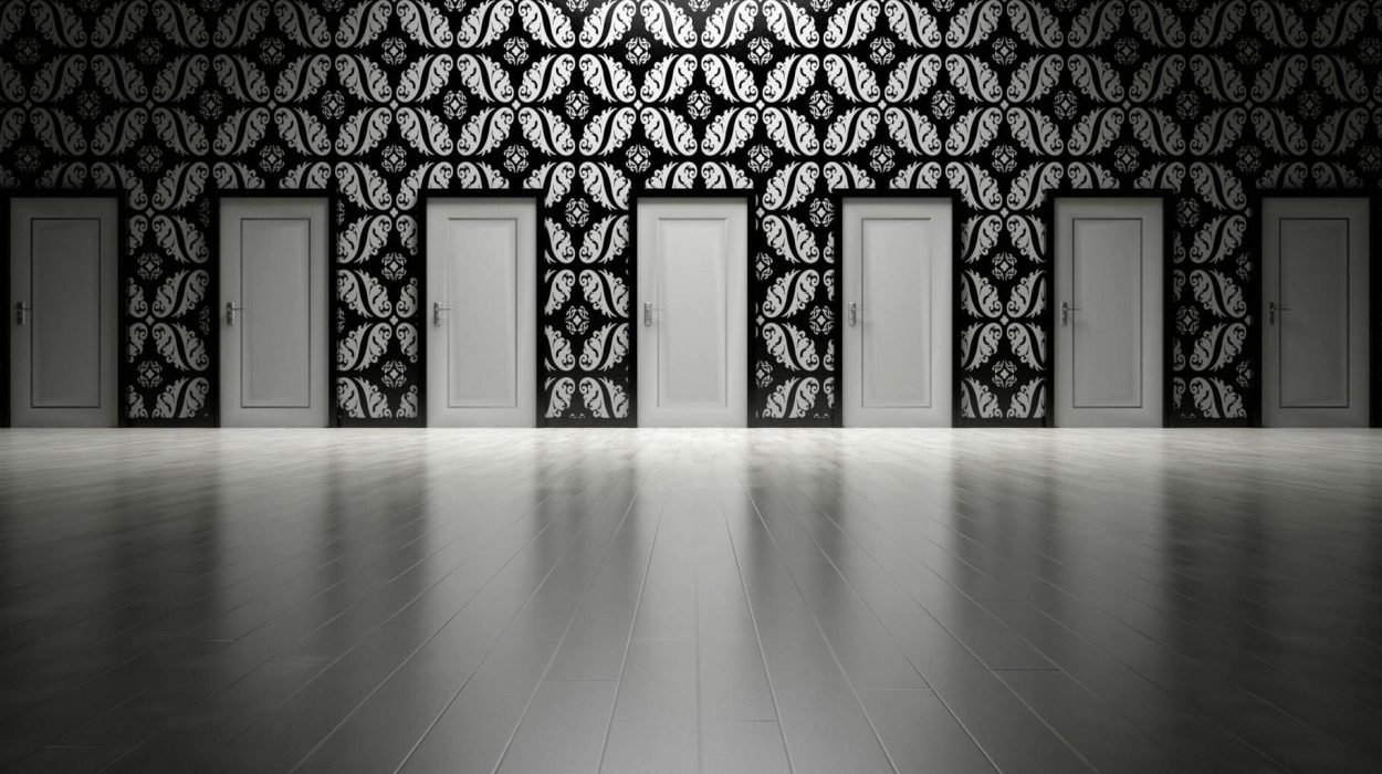 Elegir plataforma ecommerce